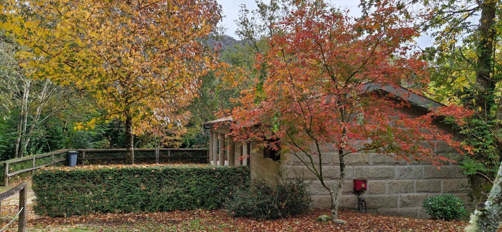 Bungalows - Serra Do Geres คัมโปดูเชเรส ภายนอก รูปภาพ